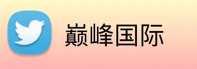 巅峰国际 logo